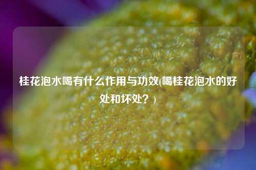 桂花泡水喝有什么作用与功效(喝桂花泡水的好处和坏处？)