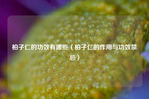 柏子仁的功效有哪些（柏子仁的作用与功效禁忌）