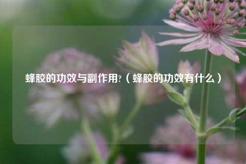 蜂胶的功效与副作用?（蜂胶的功效有什么）