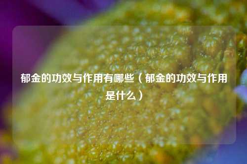 郁金的功效与作用有哪些（郁金的功效与作用是什么）
