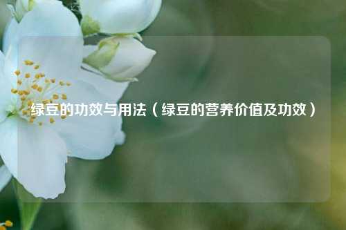 绿豆的功效与用法（绿豆的营养价值及功效）