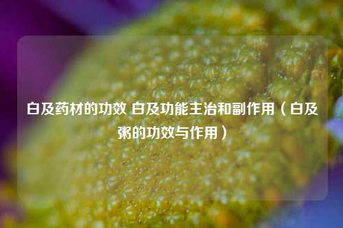 白及药材的功效 白及功能主治和副作用（白及粥的功效与作用）