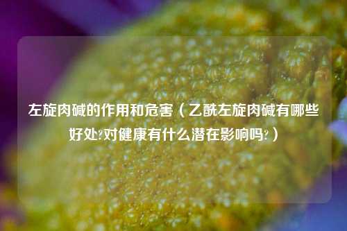 左旋肉碱的作用和危害（乙酰左旋肉碱有哪些好处?对健康有什么潜在影响吗?）