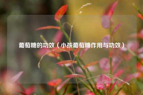 葡萄糖的功效（小孩葡萄糖作用与功效）