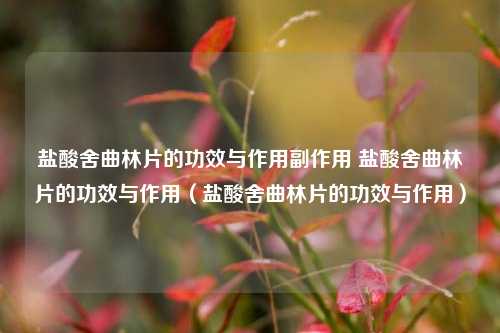 盐酸舍曲林片的功效与作用副作用 盐酸舍曲林片的功效与作用（盐酸舍曲林片的功效与作用）