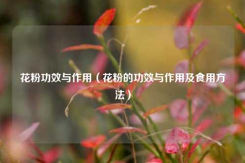 花粉功效与作用（花粉的功效与作用及食用方法）