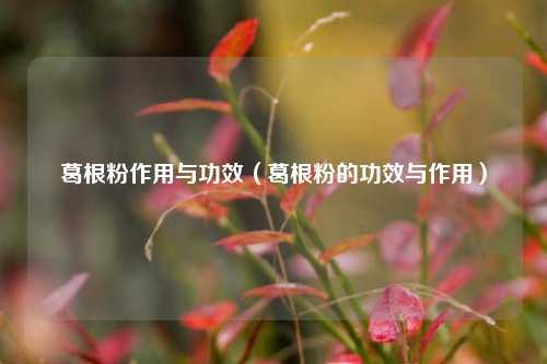 葛根粉作用与功效（葛根粉的功效与作用）