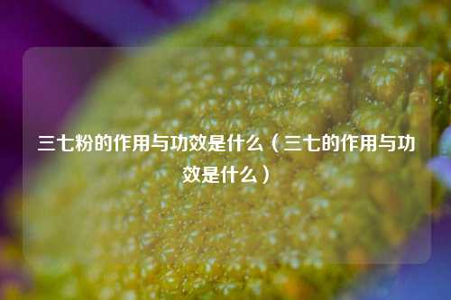 三七粉的作用与功效是什么（三七的作用与功效是什么）