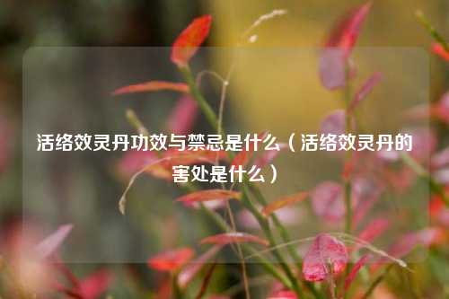 活络效灵丹功效与禁忌是什么（活络效灵丹的害处是什么）