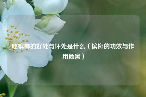 吃槟榔的好处与坏处是什么（槟榔的功效与作用危害）