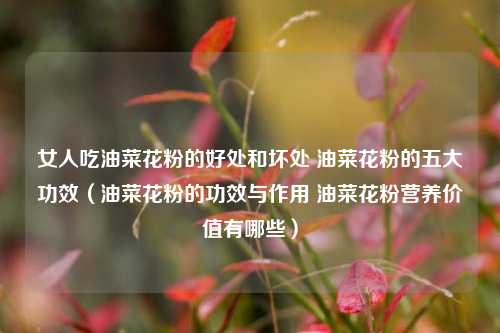 女人吃油菜花粉的好处和坏处 油菜花粉的五大功效（油菜花粉的功效与作用 油菜花粉营养价值有哪些）