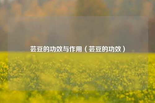 芸豆的功效与作用（芸豆的功效）