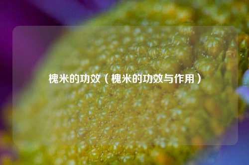 槐米的功效（槐米的功效与作用）