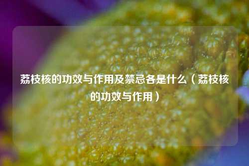 荔枝核的功效与作用及禁忌各是什么（荔枝核的功效与作用）